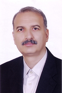Professor Hamid Nasri