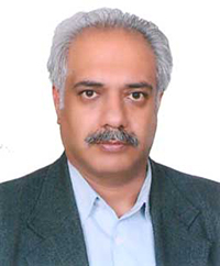 Saeed Mardani